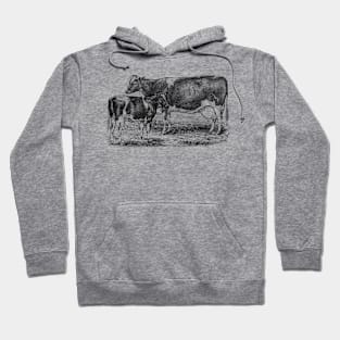 Cow with Calf Black and White Illustration Hoodie